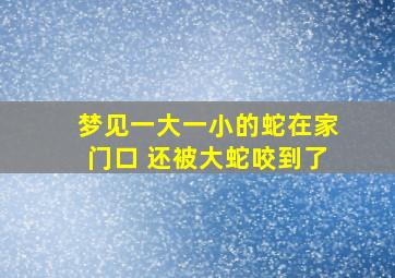 梦见一大一小的蛇在家门口 还被大蛇咬到了